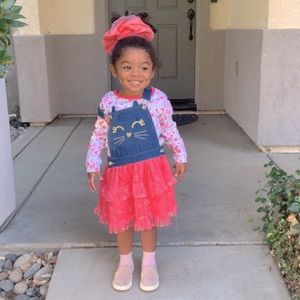 Cute Pink Cat Overall Dress with Floral Long-Sleeve Undershirt in Size 4T